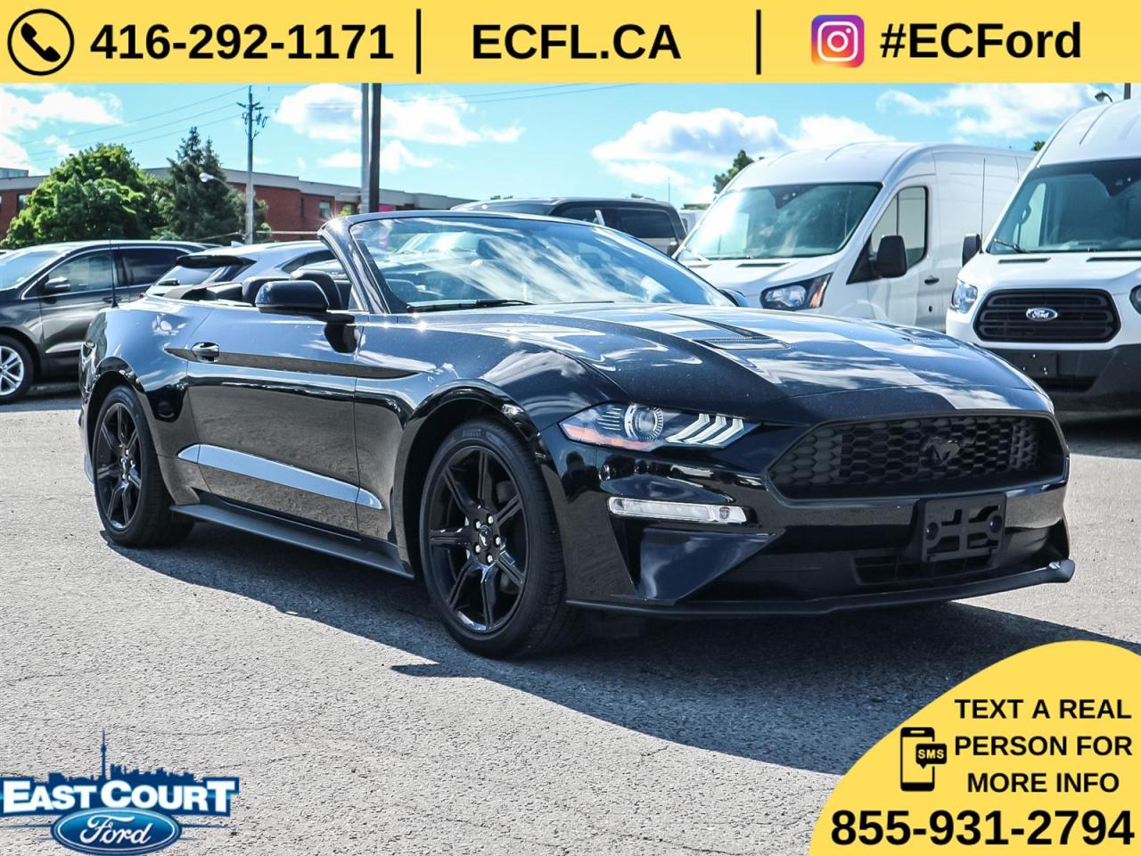 2019 Ford Mustang CONVERT PREMIUM| NAVIGATION| BLACK PACK| 10-SPEED| DUAL ZONE AC Photo2