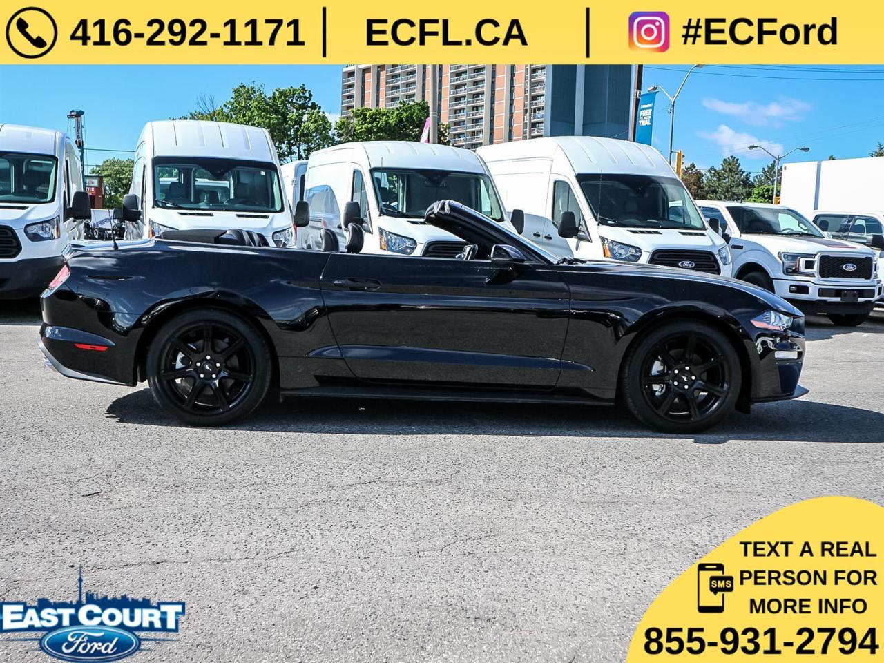 2019 Ford Mustang CONVERT PREMIUM| NAVIGATION| BLACK PACK| 10-SPEED| DUAL ZONE AC Photo