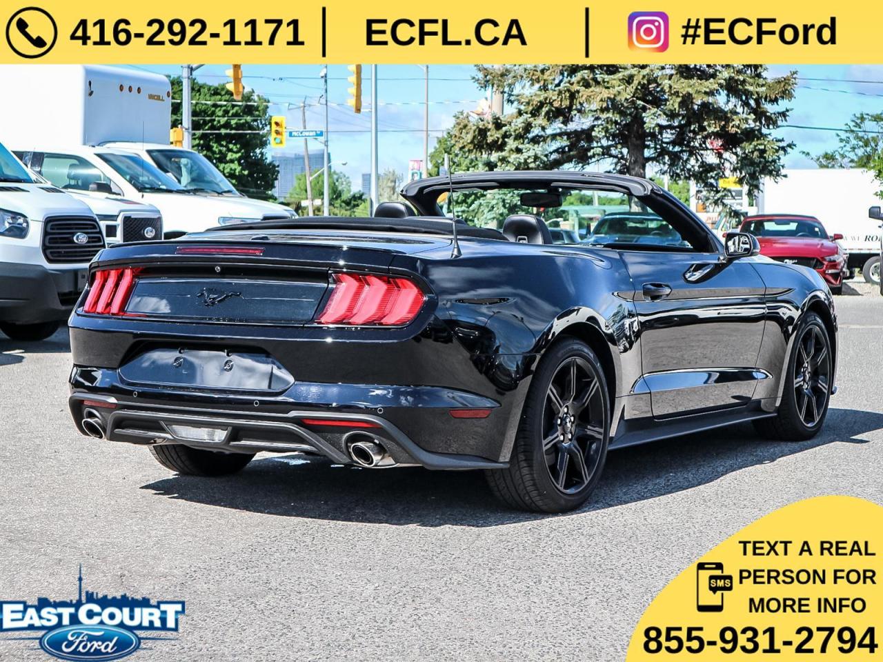 2019 Ford Mustang CONVERT PREMIUM| NAVIGATION| BLACK PACK| 10-SPEED| DUAL ZONE AC Photo