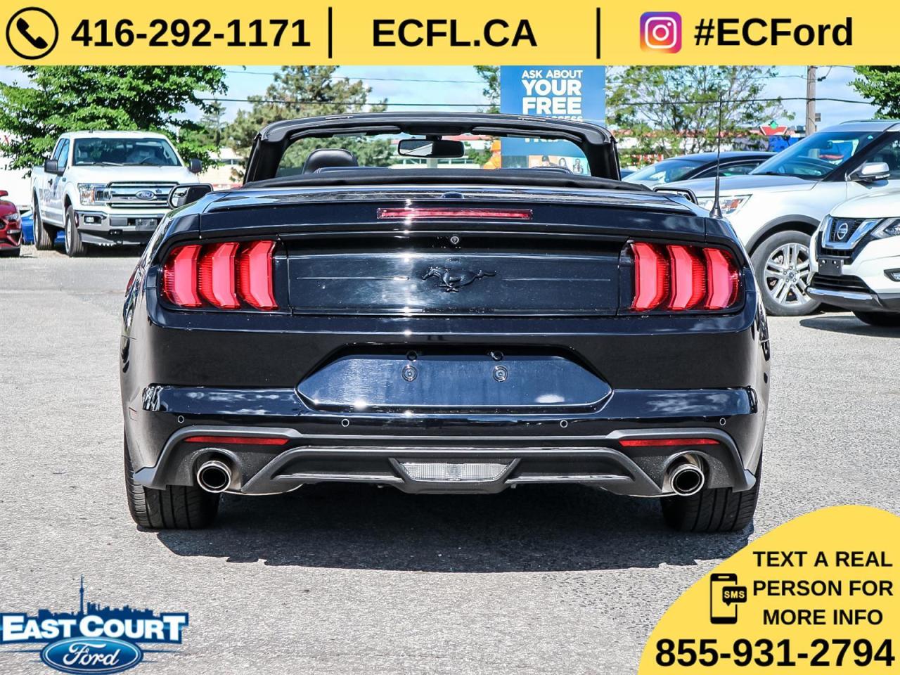 2019 Ford Mustang CONVERT PREMIUM| NAVIGATION| BLACK PACK| 10-SPEED| DUAL ZONE AC Photo