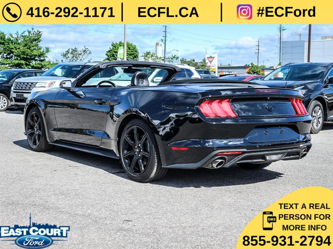 2019 Ford Mustang CONVERT PREMIUM| NAVIGATION| BLACK PACK| 10-SPEED| DUAL ZONE AC Photo