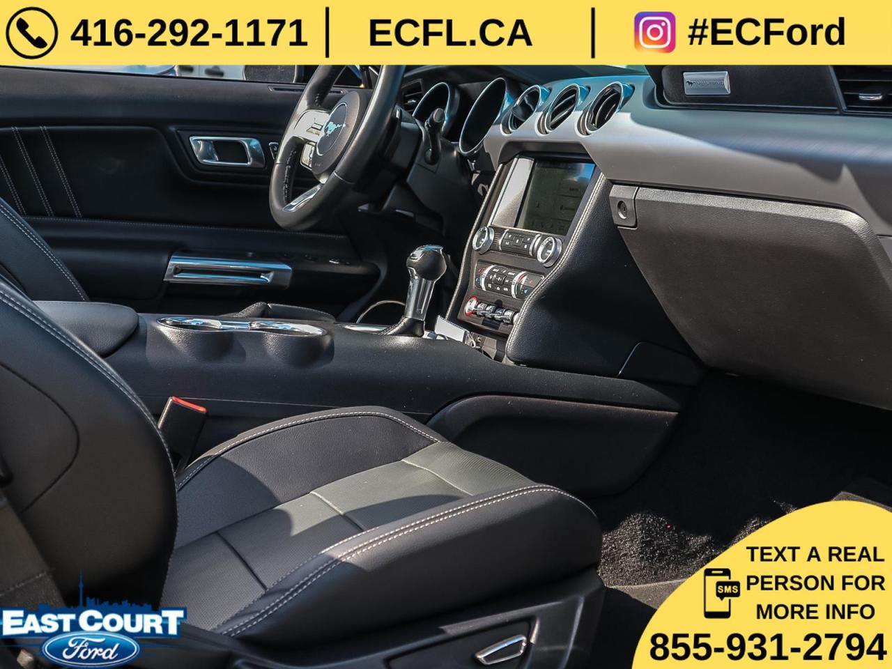 2019 Ford Mustang CONVERT PREMIUM| NAVIGATION| BLACK PACK| 10-SPEED| DUAL ZONE AC Photo