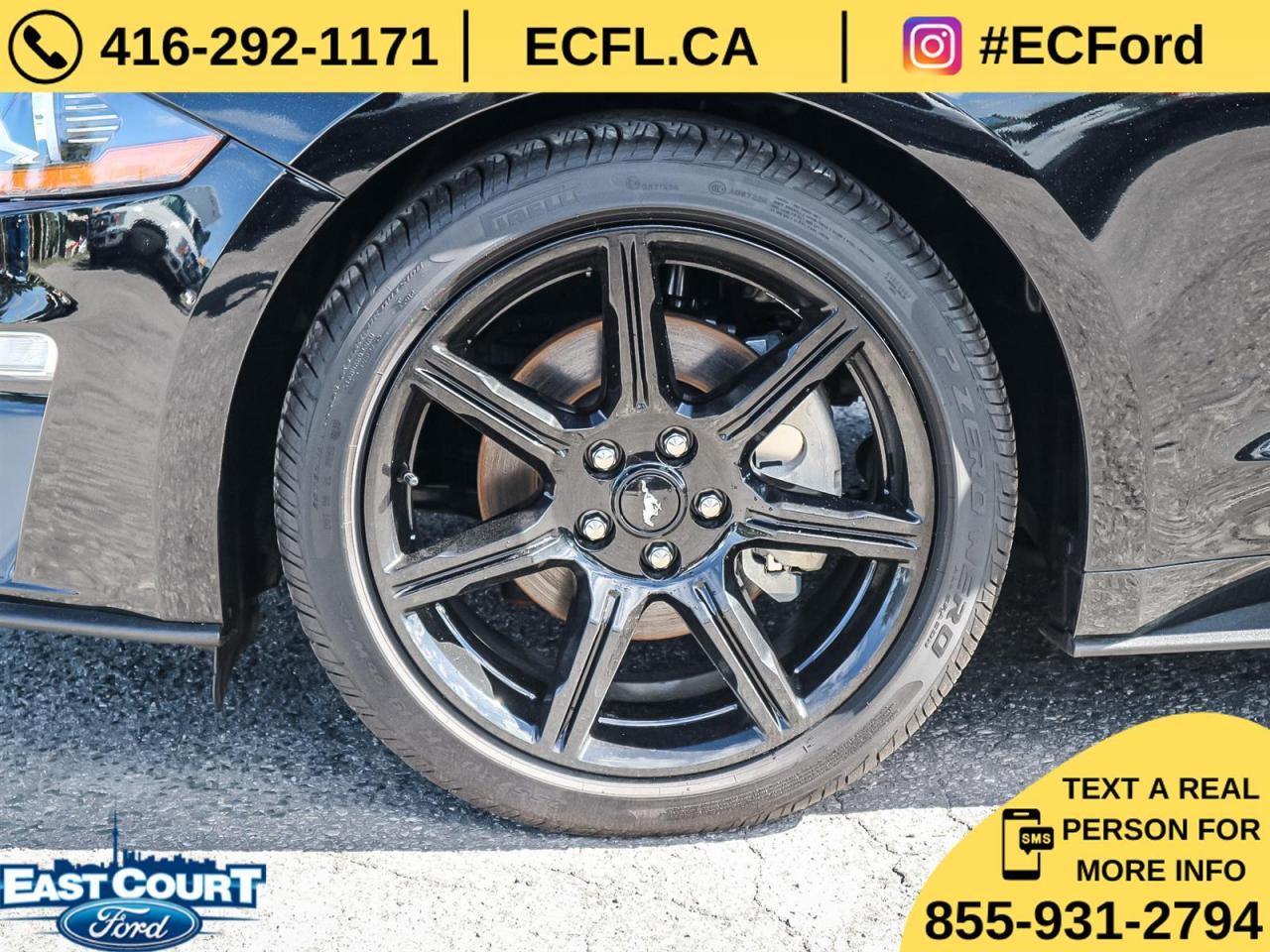 2019 Ford Mustang CONVERT PREMIUM| NAVIGATION| BLACK PACK| 10-SPEED| DUAL ZONE AC Photo