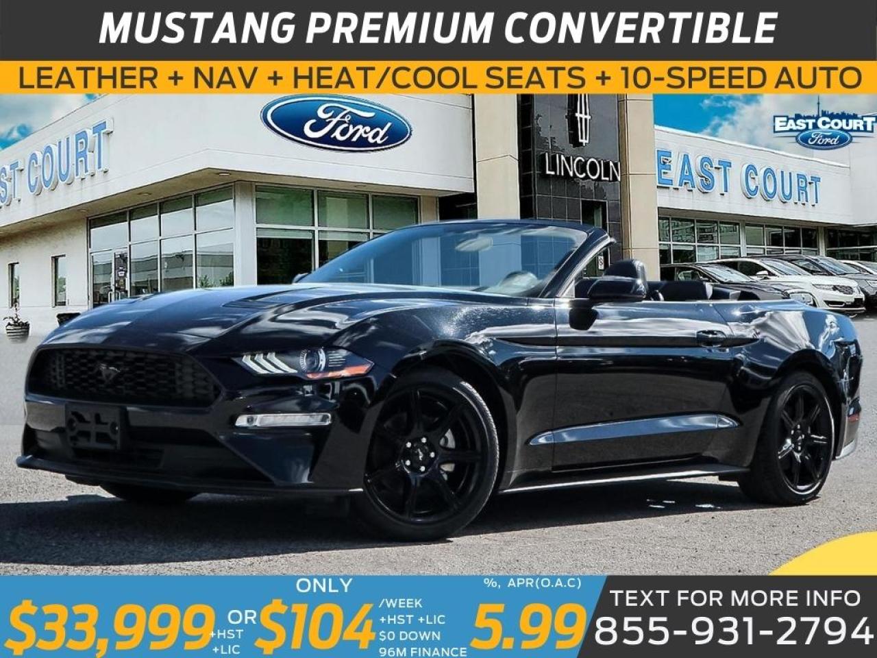 2019 Ford Mustang CONVERT PREMIUM| NAVIGATION| BLACK PACK| 10-SPEED| DUAL ZONE AC Photo0
