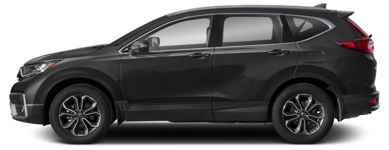 2020 Honda CR-V EX-L Photo