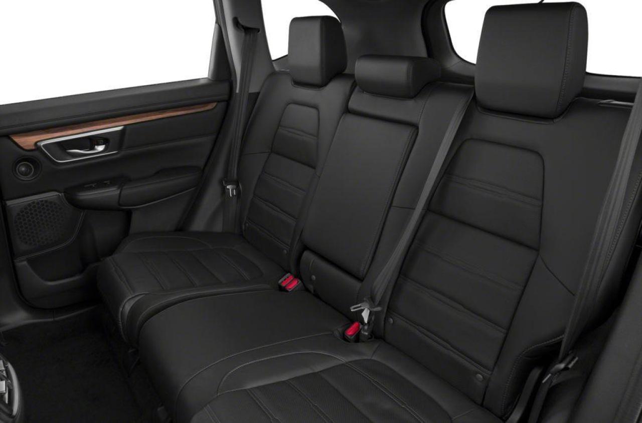 2020 Honda CR-V EX-L Photo