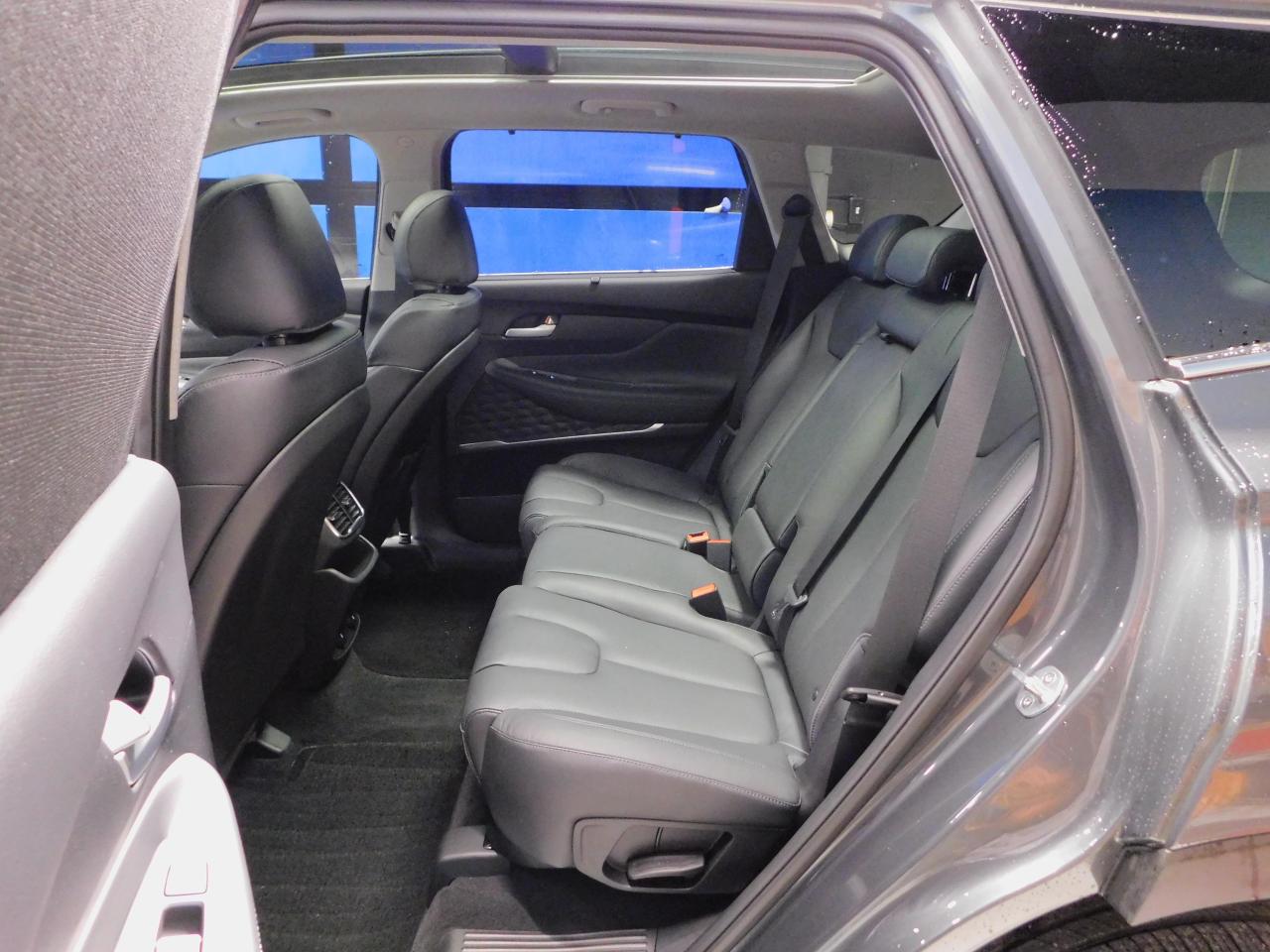 2020 Hyundai Santa Fe Luxury Photo