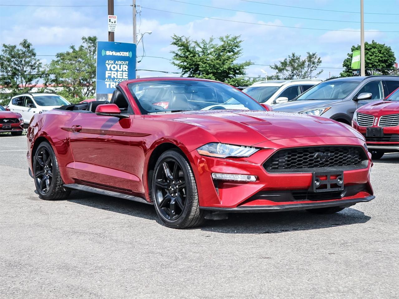 2019 Ford Mustang CONVERT PREMIUM| LOW KM| NAV| BLACK PACK| 10-SPEED| DUAL ZONE AC Photo