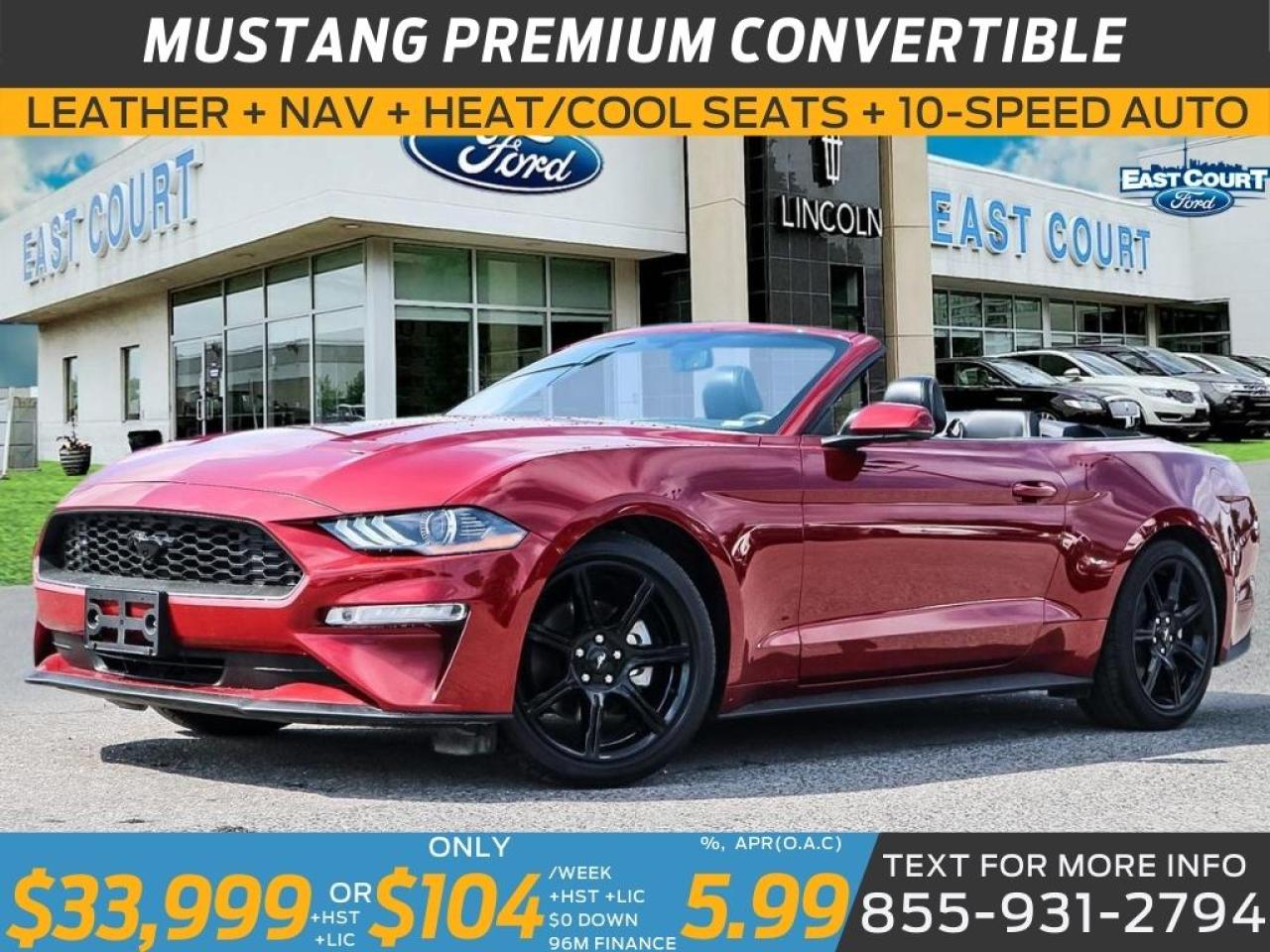 2019 Ford Mustang CONVERT PREMIUM| LOW KM| NAV| BLACK PACK| 10-SPEED| DUAL ZONE AC Photo0