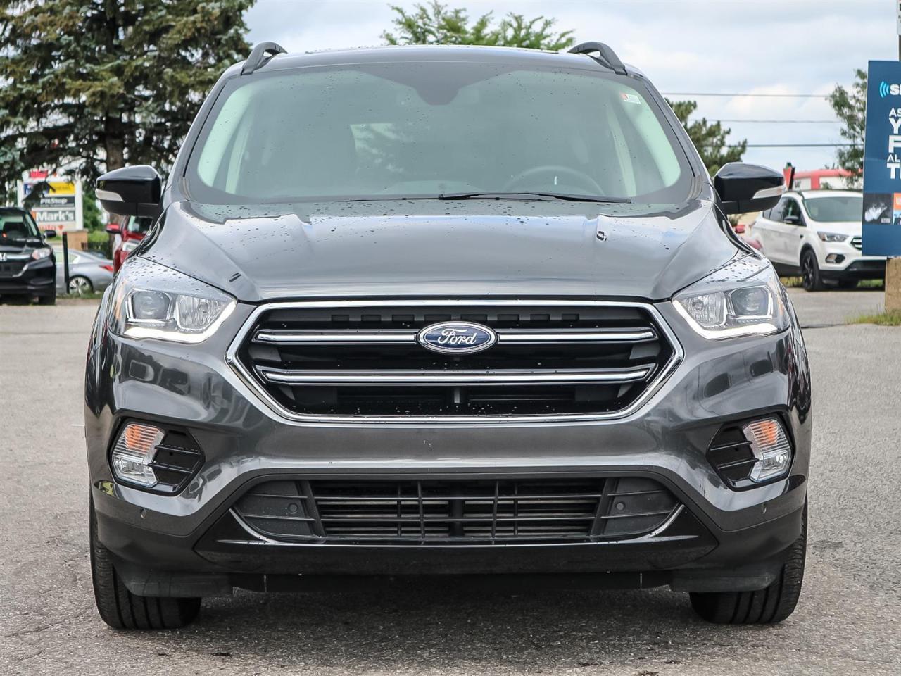 2019 Ford Escape  Photo