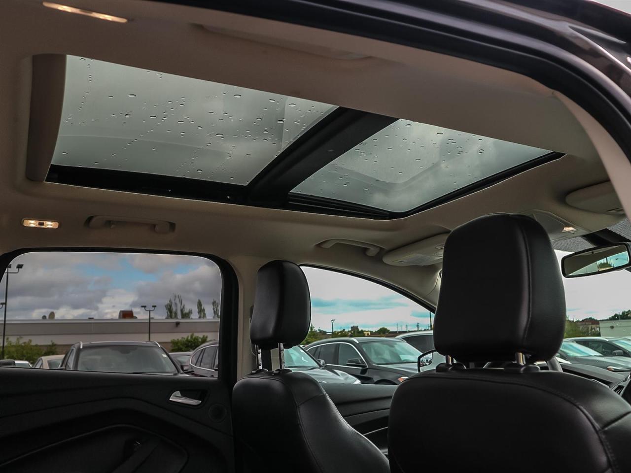 2019 Ford Escape  Photo