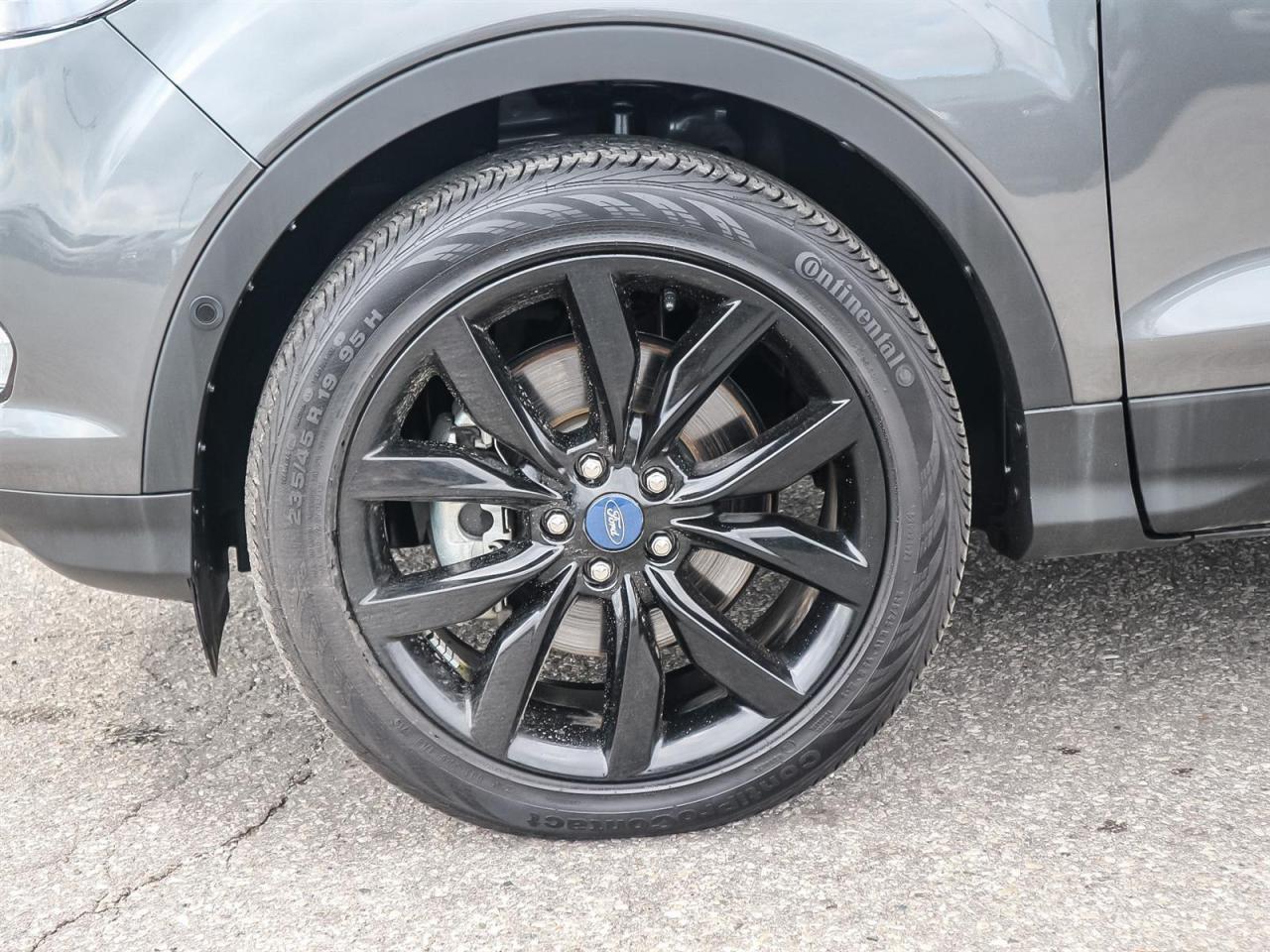 2019 Ford Escape  Photo