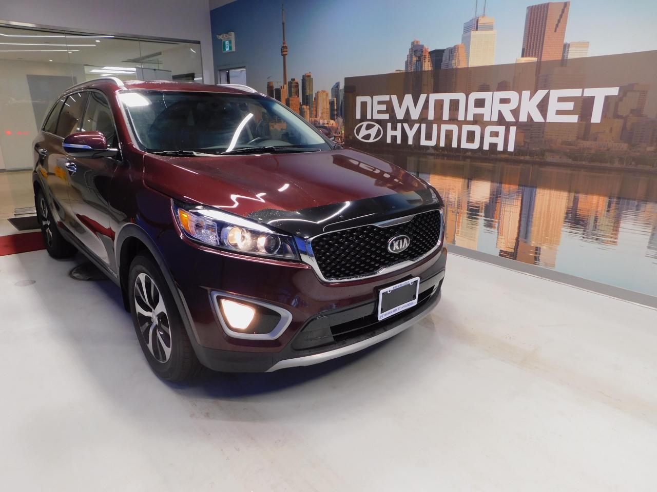 2018 Kia Sorento EX V6 Sunroof! Leather! AWD! Photo