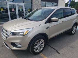 Used 2017 Ford Escape SE 4x4 Bluetooth Backup Cam Speed Control for sale in Trenton, ON