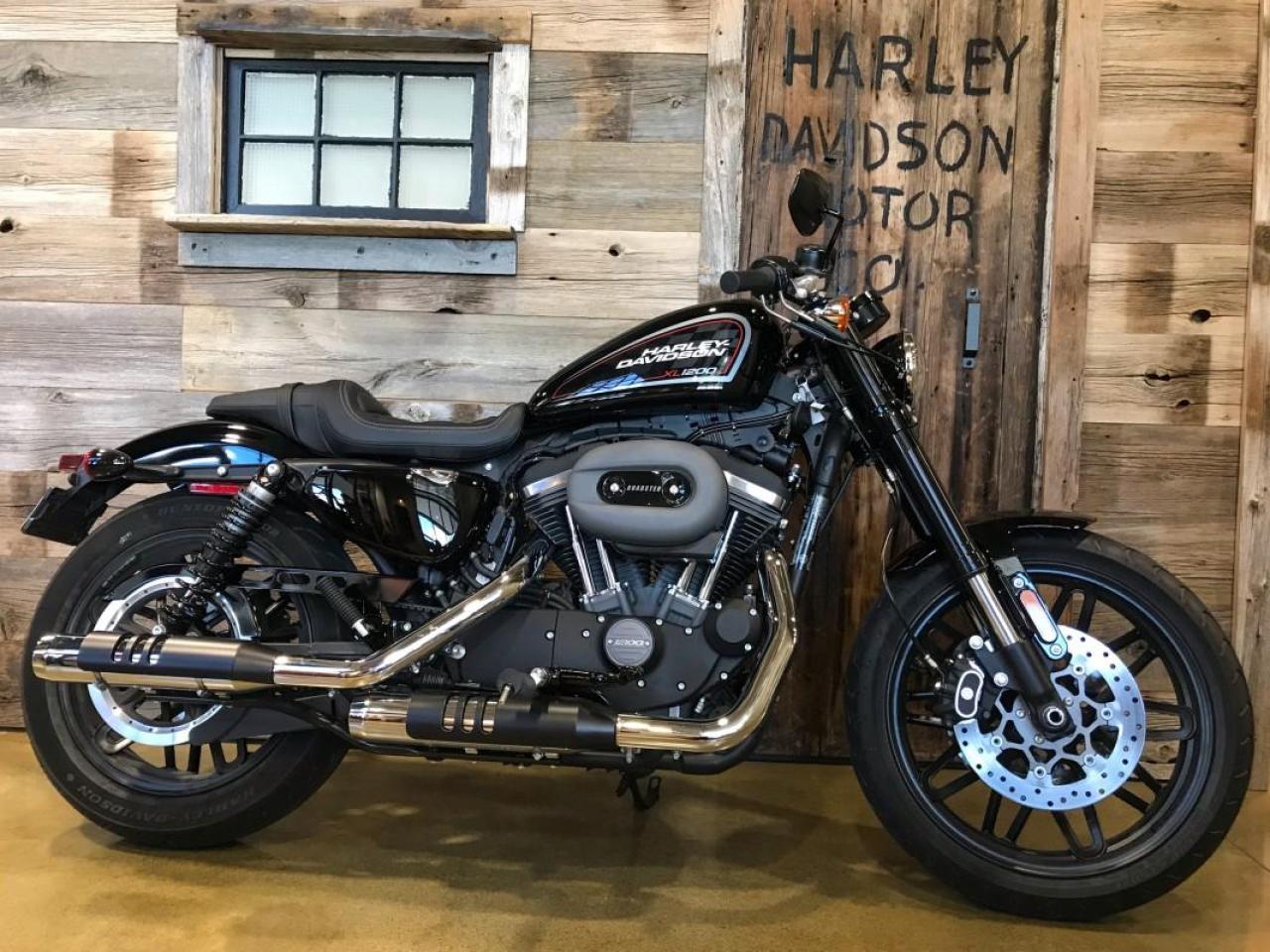 harley davidson roadster for sale