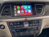 2016 Hyundai Genesis Luxury+Cooled Seats+Apple Play+Roof+ACCIDENT FREE Photo63