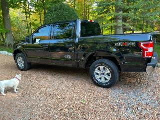 2020 Ford F-150 XLT - Photo #7