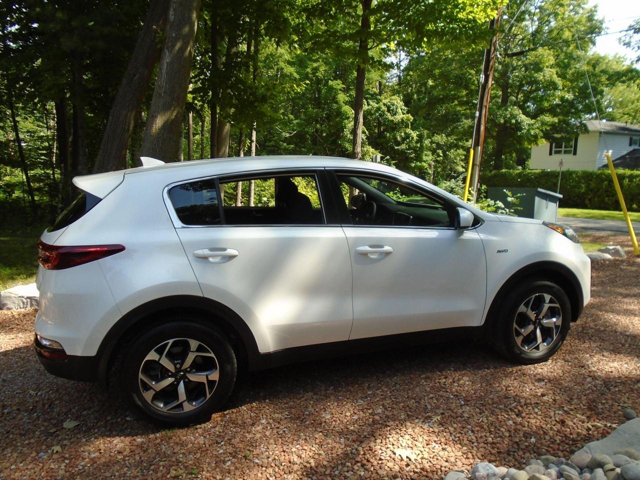 2020 Kia Sportage  - Photo #2