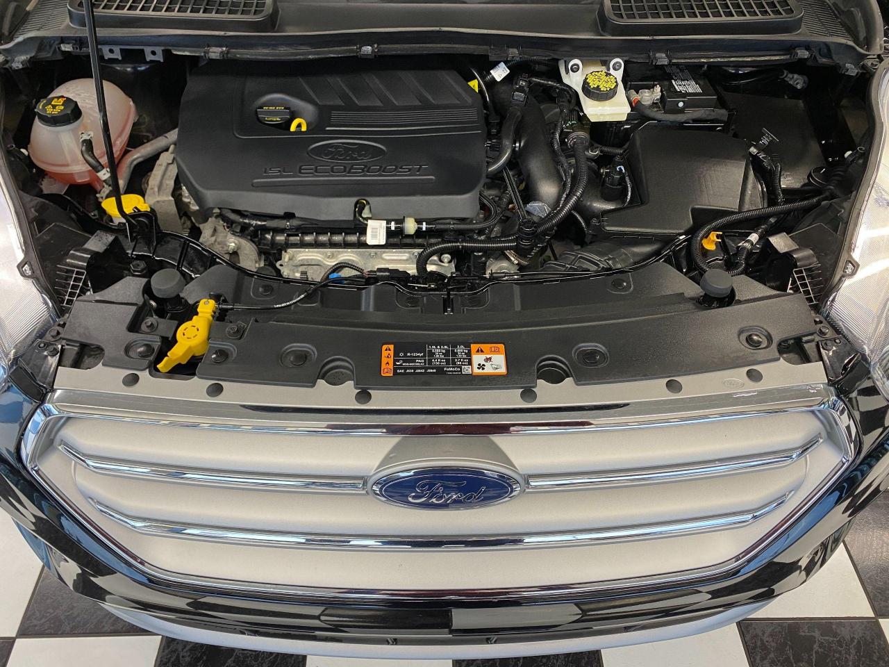 2018 Ford Escape SE 4WD+Camera+New Tires & Brakes+ACCIDENT FREE - Photo #7