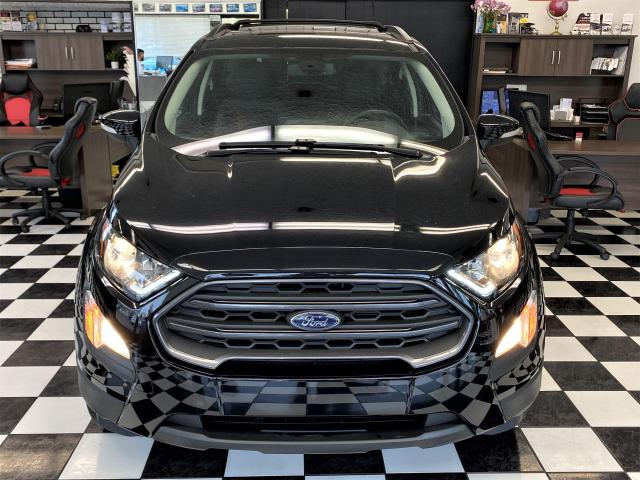 2018 Ford EcoSport SES+4WD+Sunroof+Nav+GPS+Accident Free Photo6