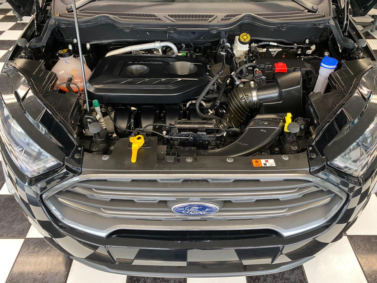 2018 Ford EcoSport SES+4WD+Sunroof+Nav+GPS+Accident Free - Photo #7