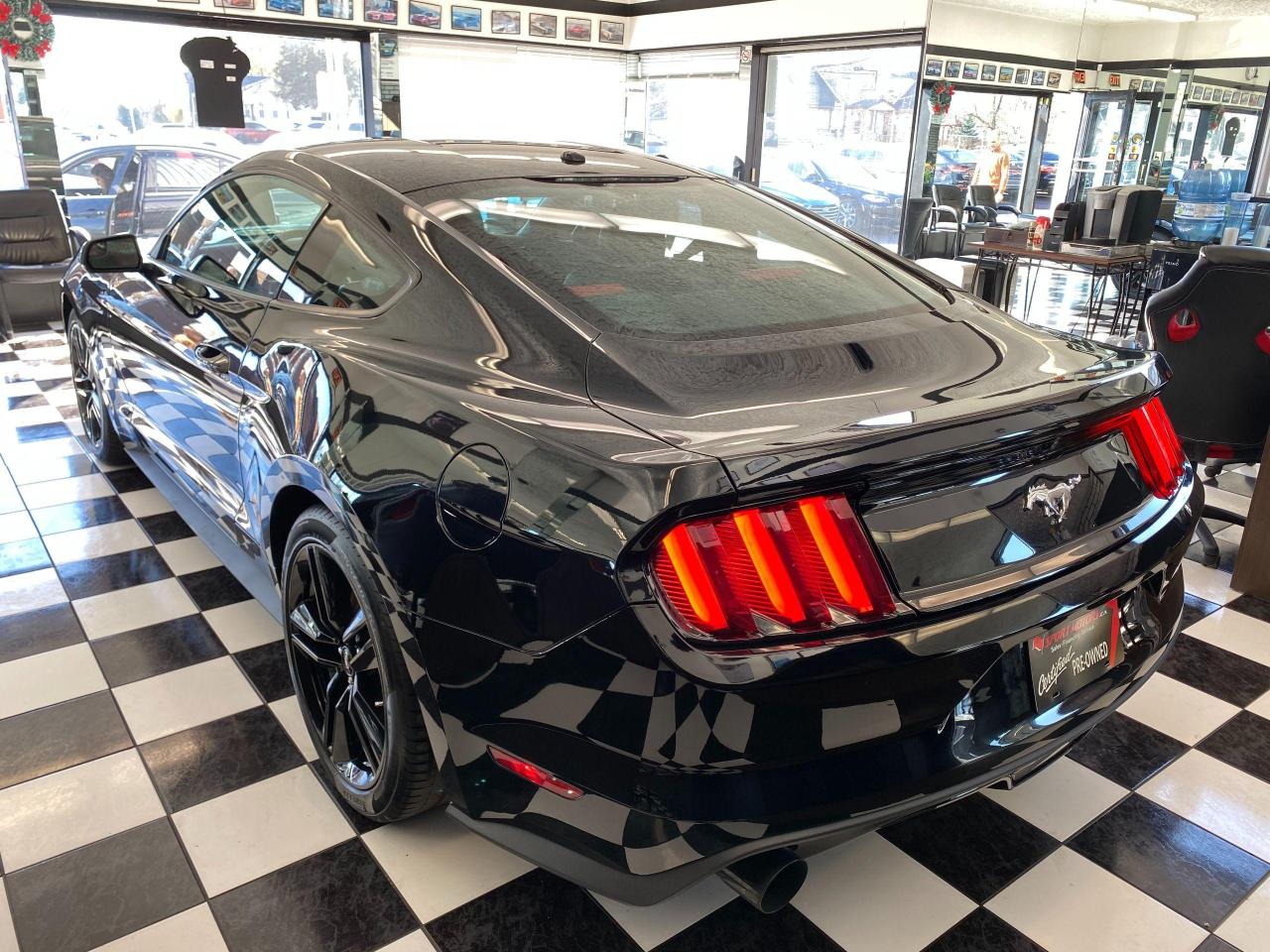 2016 Ford Mustang EcoBoost Premium+Red Leather+Accident Free - Photo #2