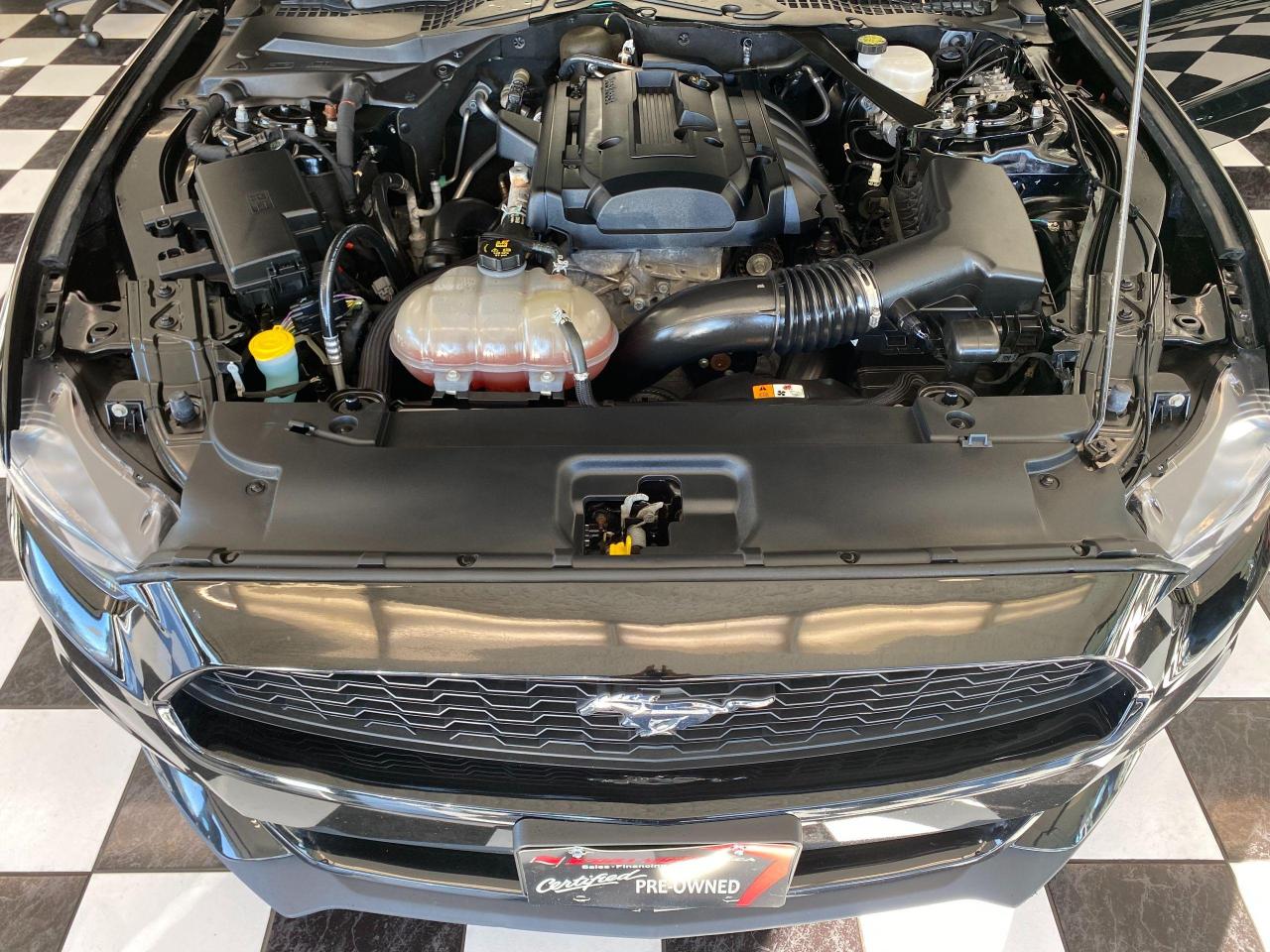 2016 Ford Mustang EcoBoost Premium+Red Leather+Accident Free - Photo #7