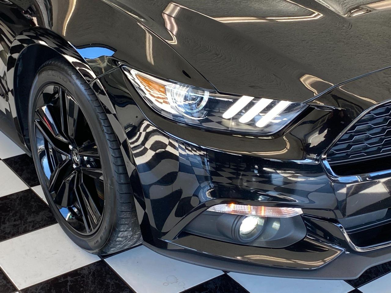2016 Ford Mustang EcoBoost Premium+Red Leather+Accident Free - Photo #37