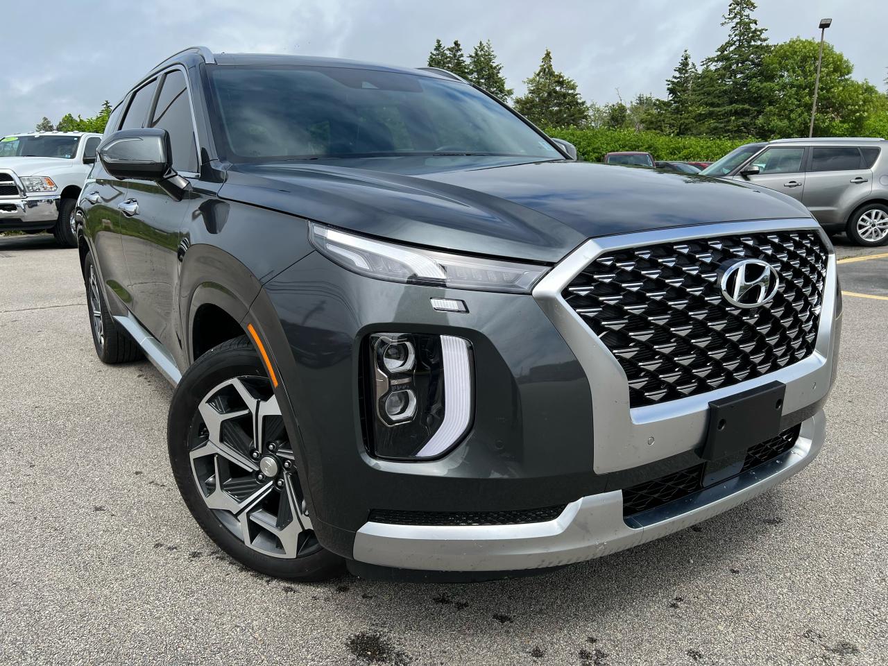 2021 Hyundai PALISADE Calligraphy Photo25