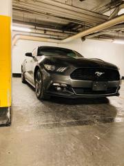 Used 2016 Ford Mustang PRE-OWNED CERTIFIED- ANNIVERSARY EDITION for sale in Toronto, ON