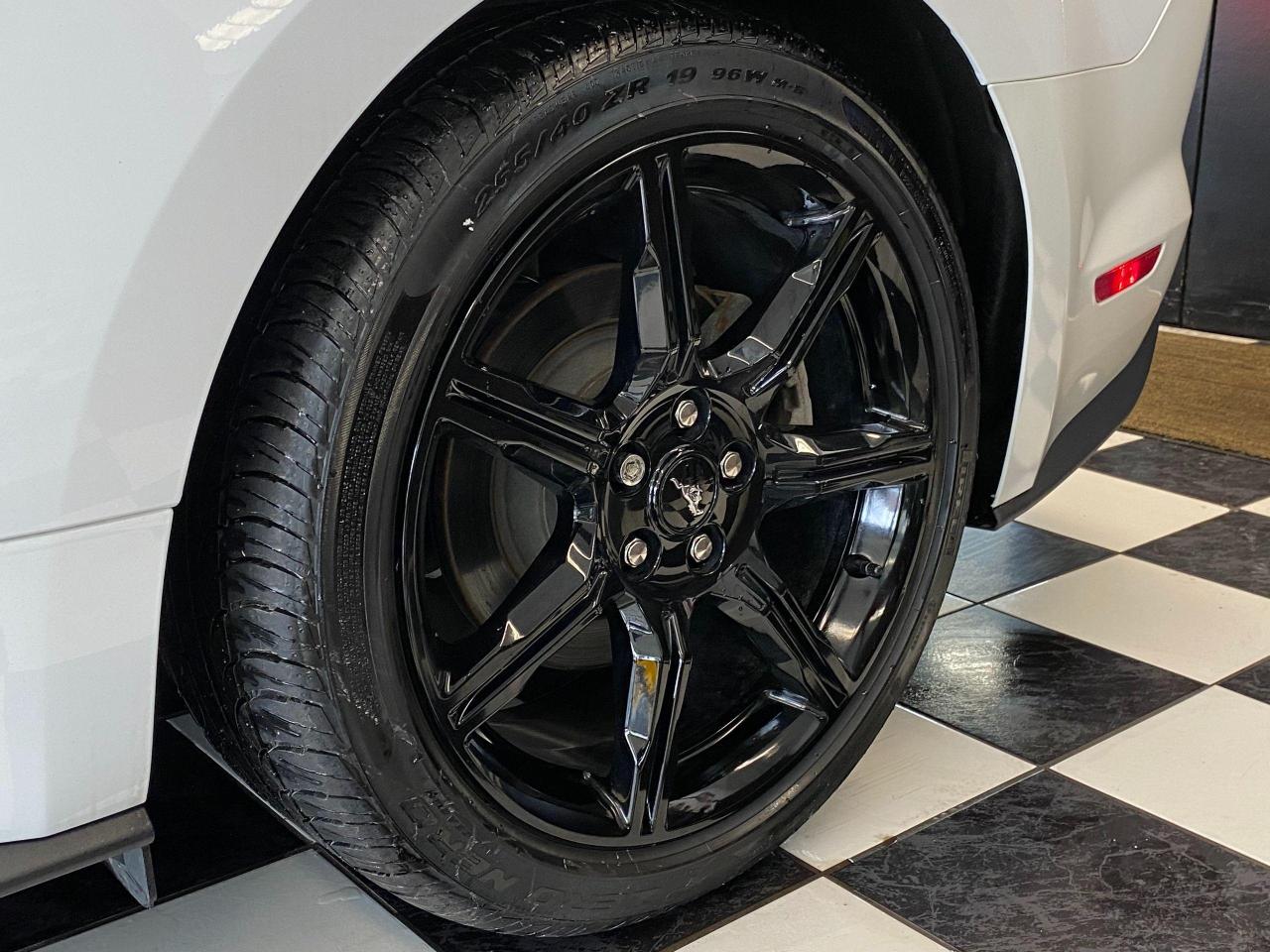 2018 Ford Mustang EcoBoost+Tinted+Exhaust+Camera+Black Wheels Photo122