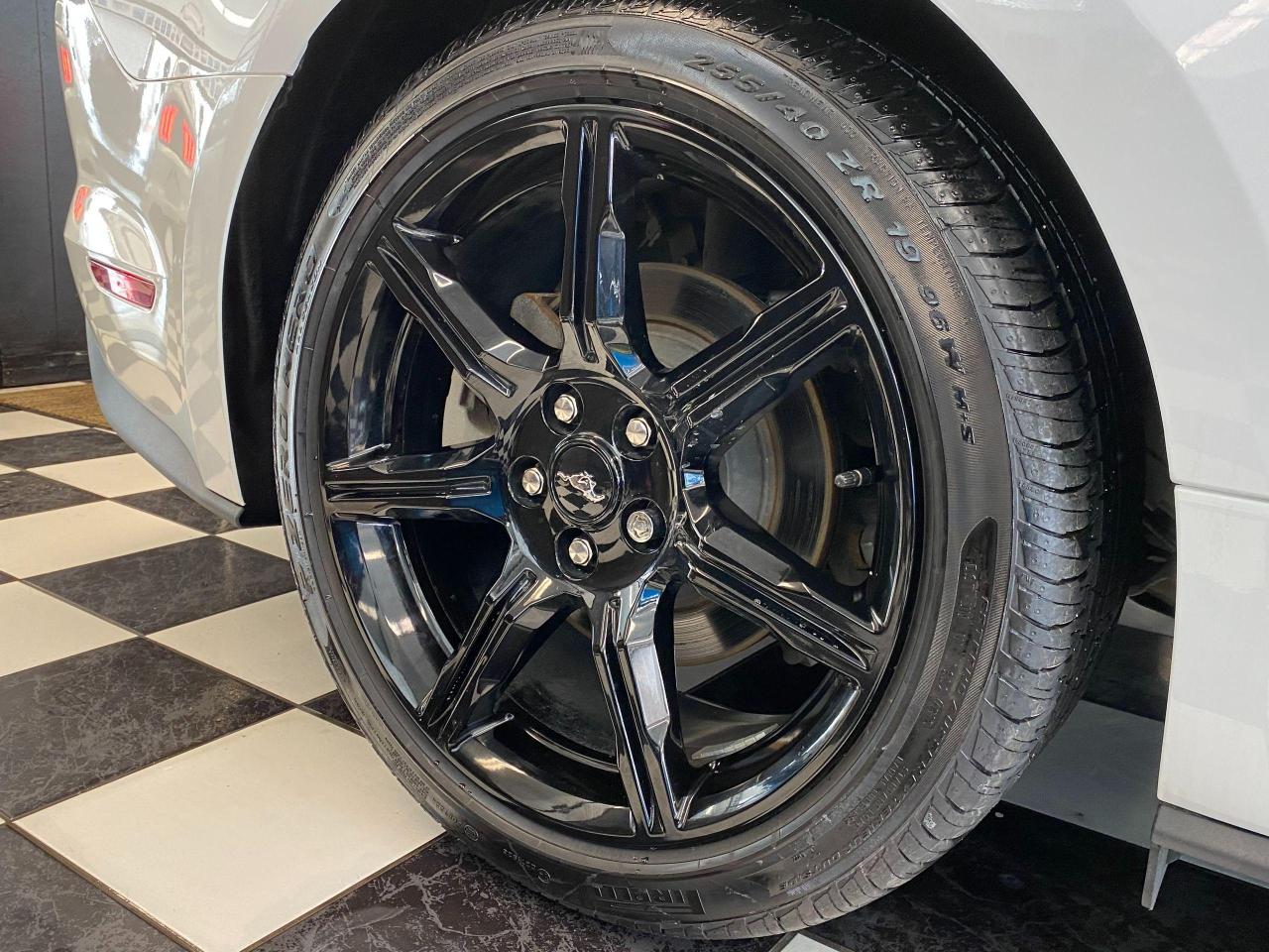 2018 Ford Mustang EcoBoost+Tinted+Exhaust+Camera+Black Wheels Photo123