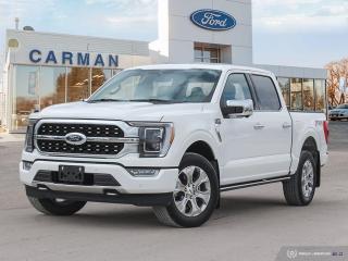 Used 2021 Ford F-150 PLATINUM for sale in Carman, MB