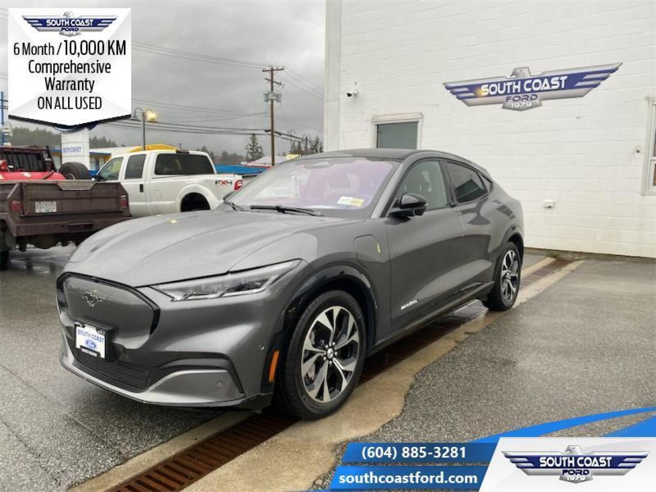 2021 Ford Mustang Mach-E Premium AWD  - Low Mileage Photo0