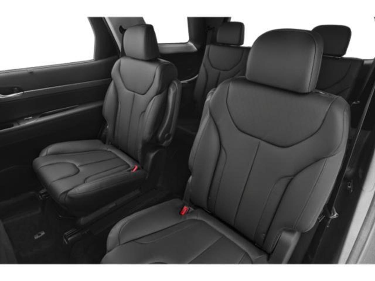 2021 Hyundai PALISADE LUXURY Photo