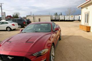 2019 Ford Mustang GT Premium, Accident Free, 20,120 Km - Photo #6