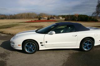 1999 Pontiac Firebird 30th Anniversary Convertible Trans-Am 1 Owner - Photo #3