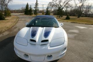 1999 Pontiac Firebird 30th Anniversary Convertible Trans-Am 1 Owner - Photo #6