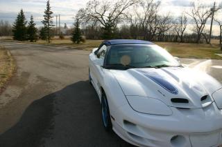 1999 Pontiac Firebird 30th Anniversary Convertible Trans-Am 1 Owner - Photo #5