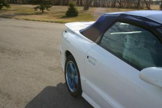 1999 Pontiac Firebird 30th Anniversary Convertible Trans-Am 1 Owner - Photo #8