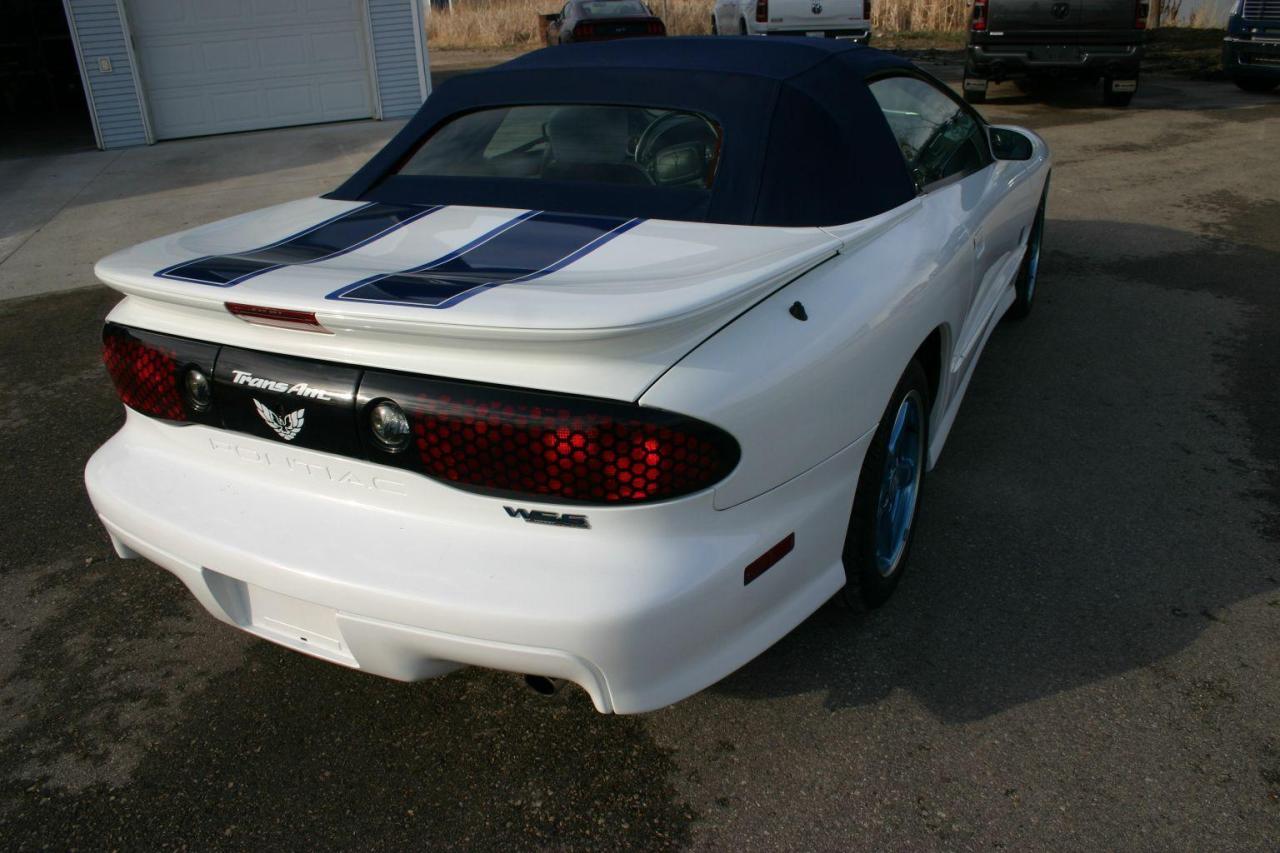 1999 Pontiac Firebird 30th Anniversary Convertible Trans-Am 1 Owner - Photo #9