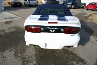 1999 Pontiac Firebird 30th Anniversary Convertible Trans-Am 1 Owner - Photo #11