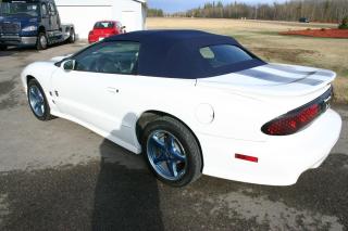 1999 Pontiac Firebird 30th Anniversary Convertible Trans-Am 1 Owner - Photo #12