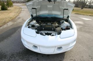 1999 Pontiac Firebird 30th Anniversary Convertible Trans-Am 1 Owner - Photo #23