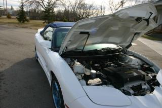 1999 Pontiac Firebird 30th Anniversary Convertible Trans-Am 1 Owner - Photo #24