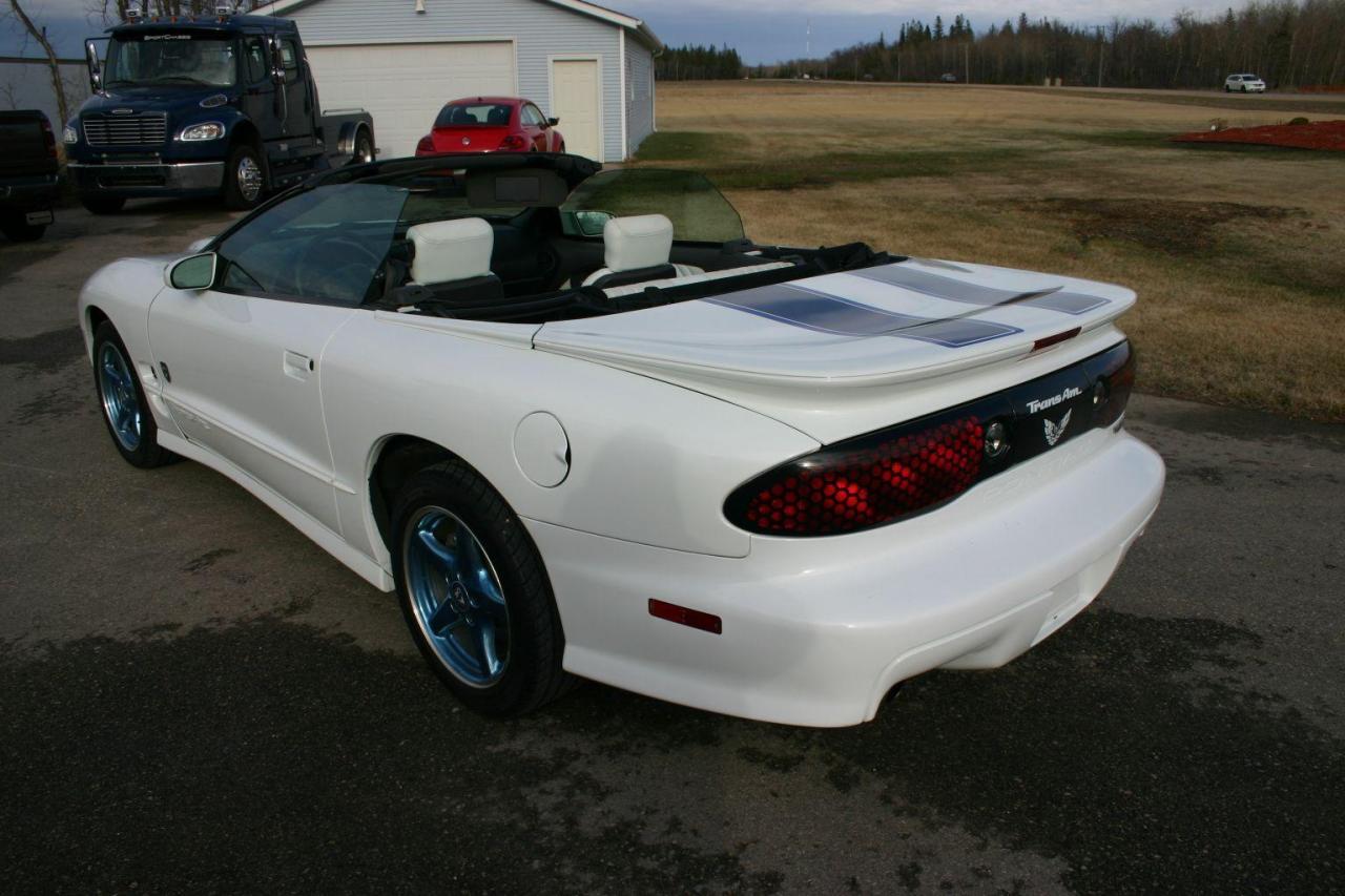 1999 Pontiac Firebird 30th Anniversary Convertible Trans-Am 1 Owner - Photo #27