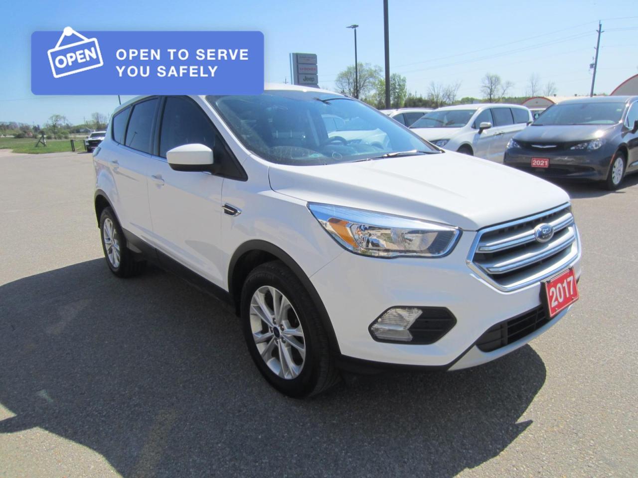 2017 Ford Escape SE Photo