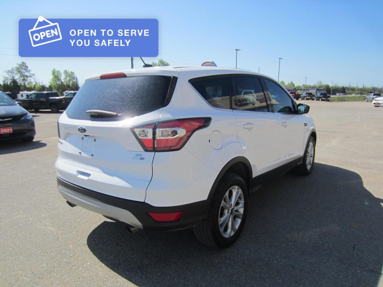2017 Ford Escape SE Photo