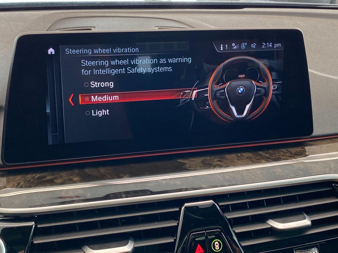 2017 BMW 5 Series 530i xDrive+MPKG+TECH+AdaptiveCruise+ACCIDENT FREE - Photo #37