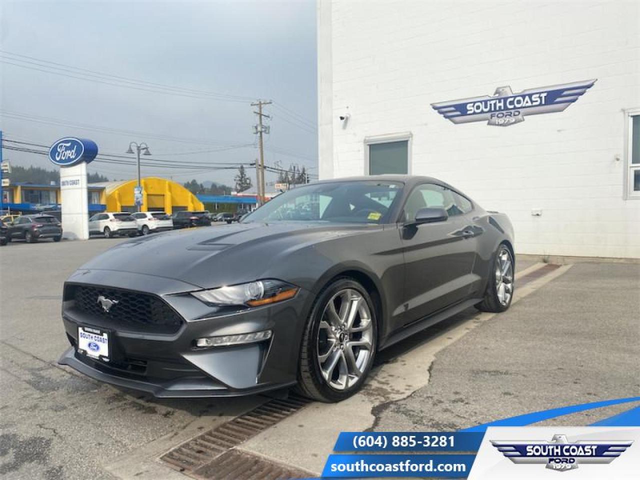 Image - 2019 Ford Mustang 